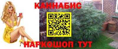 мдпв Малгобек