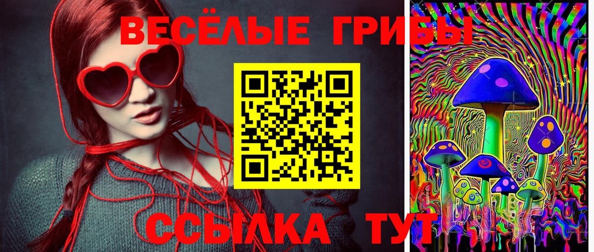 Псилоцибиновые грибы прущие грибы  Вход с VPN  Удомля 