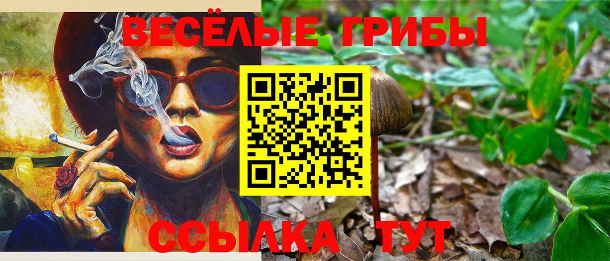 Псилоцибиновые грибы Magic Shrooms Удомля