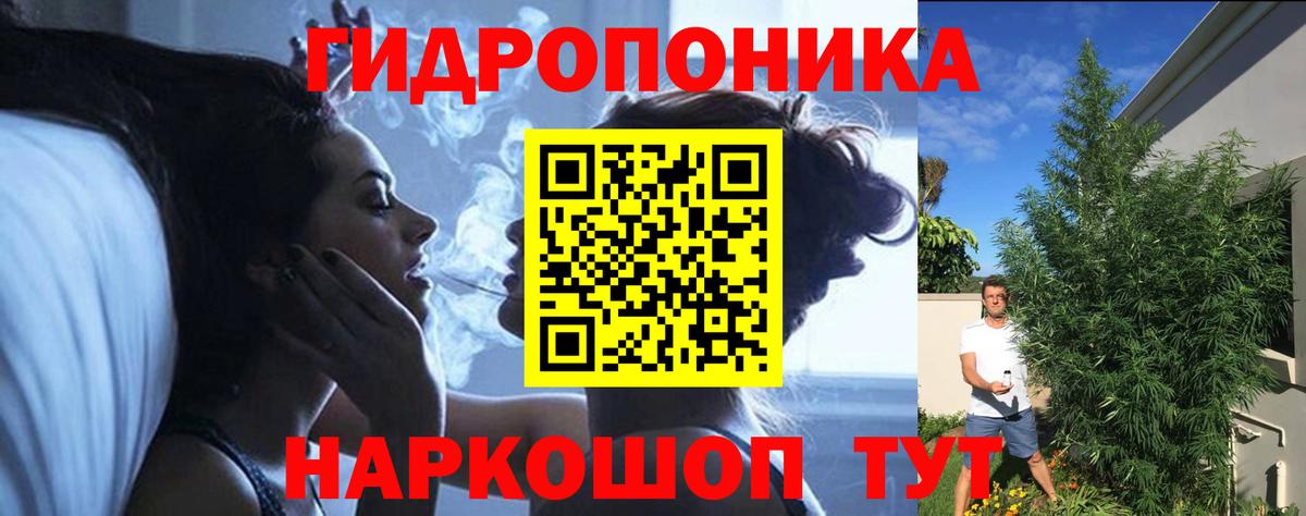 Бошки Шишки Bruce Banner  Канабис ГИДРОПОН  Вход с VPN  Удомля 